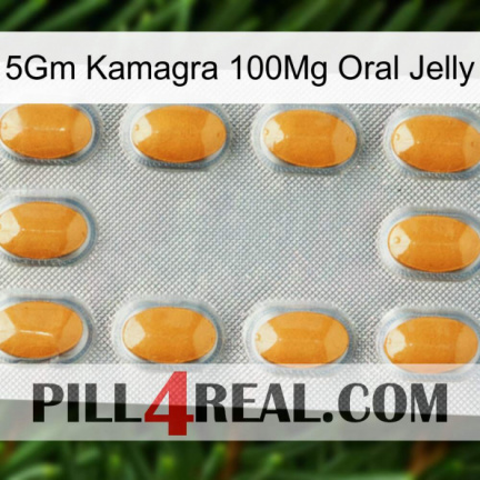 5Gm Kamagra 100Mg Oral Jelly cialis3